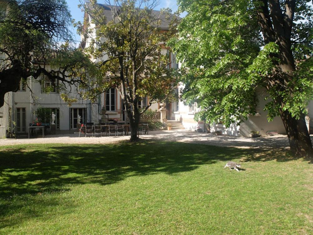 La Maison D'Hotes Du Chapelier Espéraza Dış mekan fotoğraf